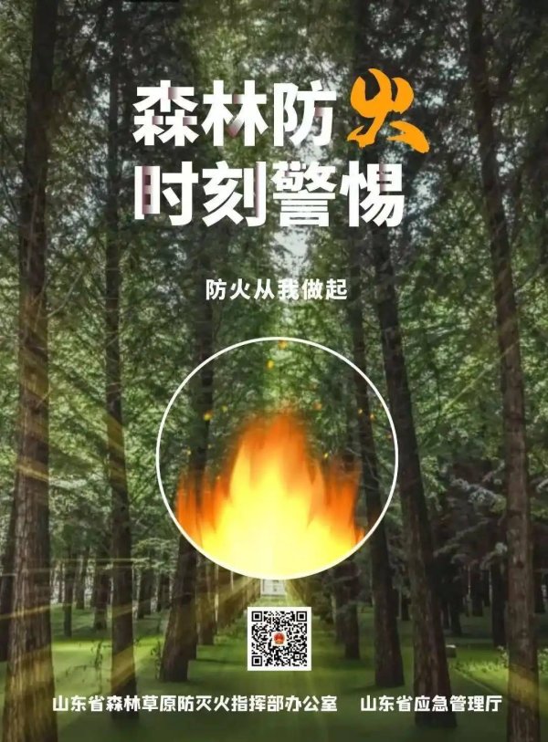 山东省森防指通报森林火灾案例，多人被判刑并承担巨额赔偿